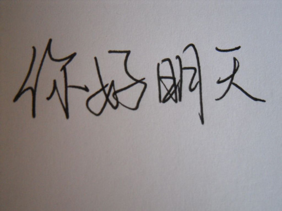ne板链式提升机
